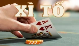 Xì Tố tại EE88